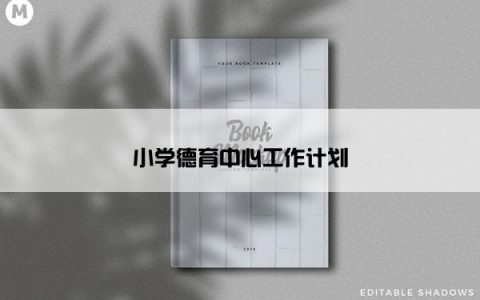 小学德育中心工作计划
