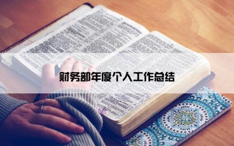 财务部年度个人工作总结