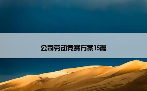 公司劳动竞赛方案15篇