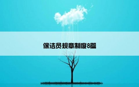 保洁员规章制度8篇