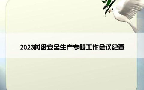 2023村级安全生产专题工作会议纪要