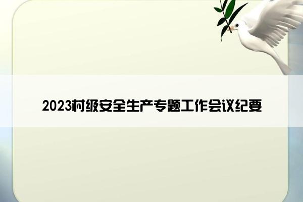 2023村级安全生产专题工作会议纪要