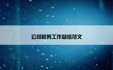 公司财务工作总结范文