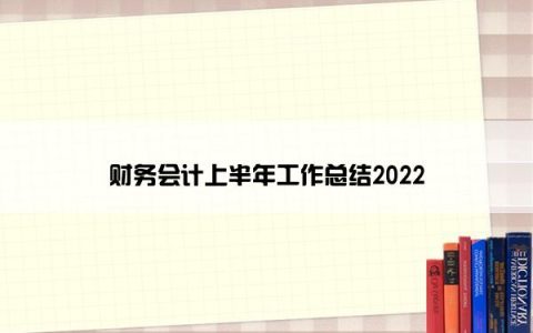 财务会计上半年工作总结2022