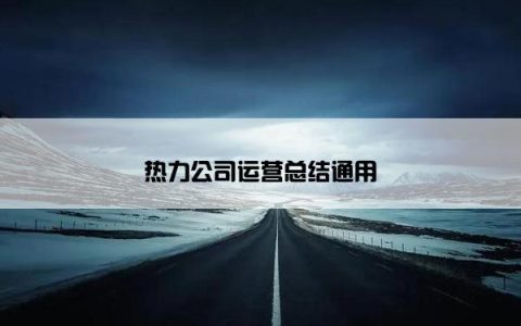 热力公司运营总结通用