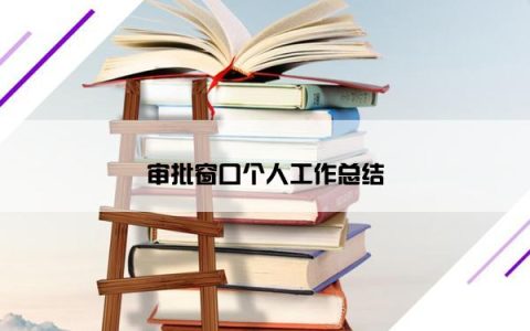 审批窗口个人工作总结