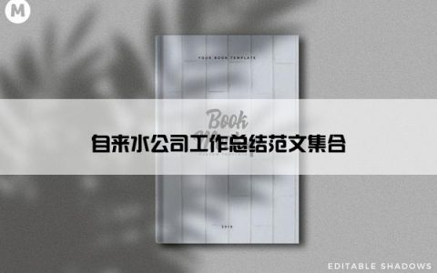 自来水公司工作总结范文集合