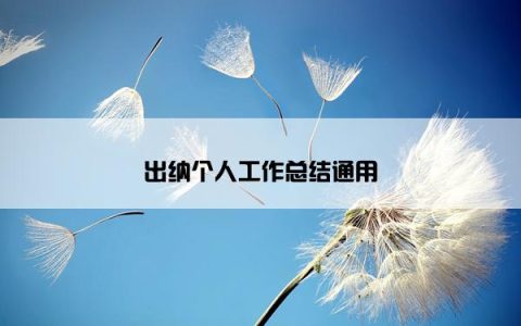出纳个人工作总结通用