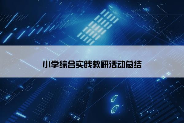 小学综合实践教研活动总结