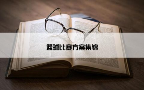 篮球比赛方案集锦