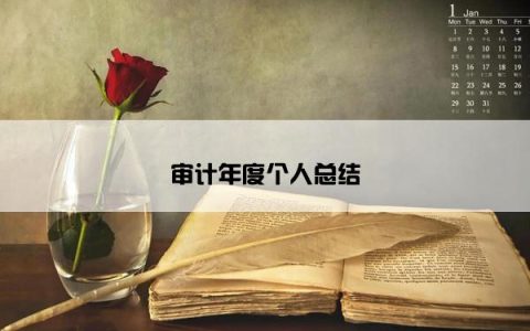 审计年度个人总结