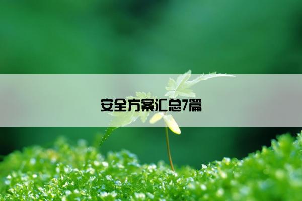 安全方案汇总7篇