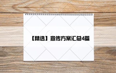 【精选】宣传方案汇总4篇