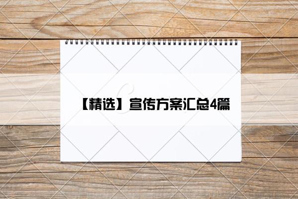 【精选】宣传方案汇总4篇