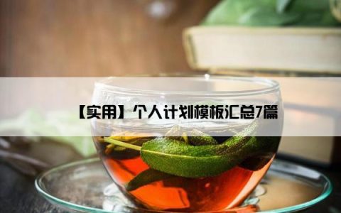 【实用】个人计划模板汇总7篇