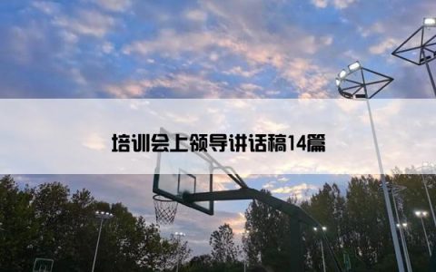 培训会上领导讲话稿14篇