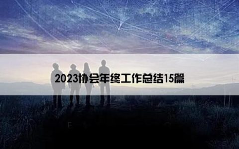 2023协会年终工作总结15篇