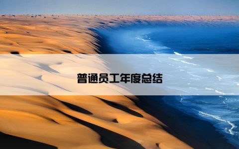 普通员工年度总结