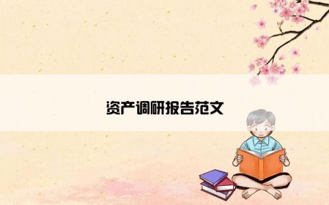 资产调研报告范文