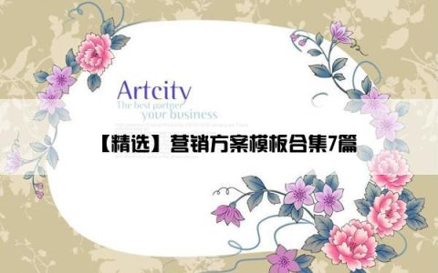 【精选】营销方案模板合集7篇