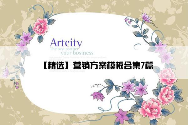 【精选】营销方案模板合集7篇