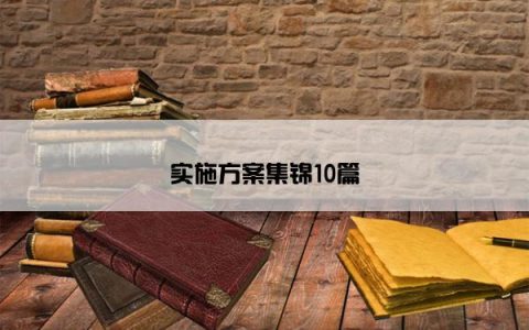 实施方案集锦10篇