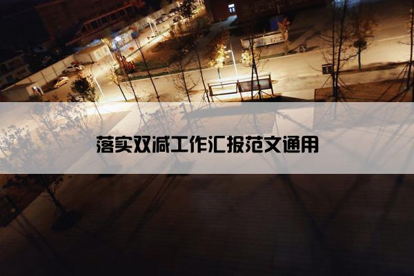 落实双减工作汇报范文通用