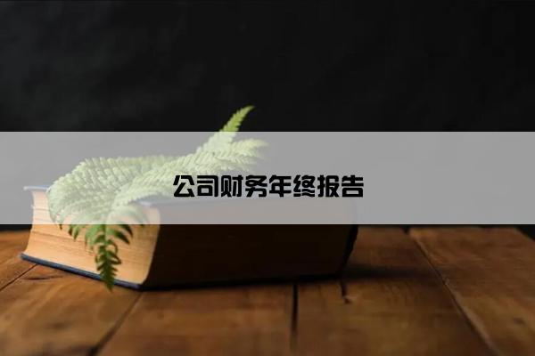 公司财务年终报告