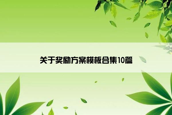 关于奖励方案模板合集10篇