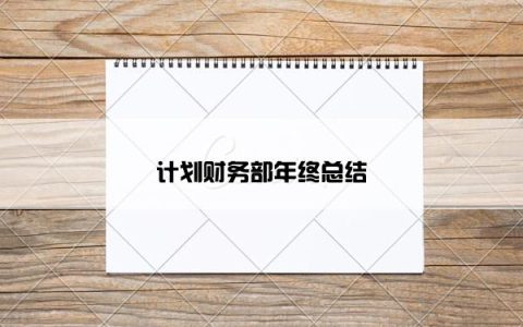 计划财务部年终总结