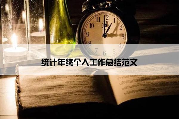 统计年终个人工作总结范文