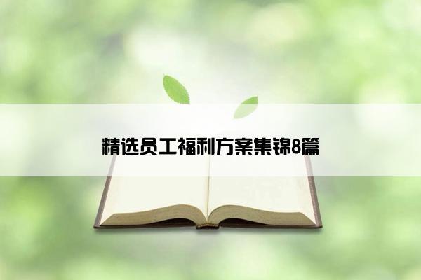 精选员工福利方案集锦8篇