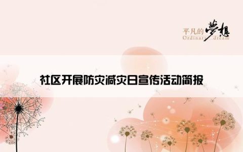 社区开展防灾减灾日宣传活动简报