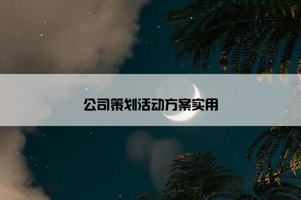 公司策划活动方案实用