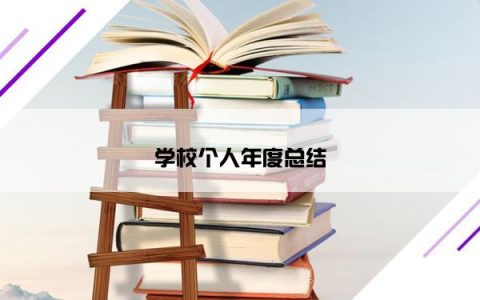 学校个人年度总结