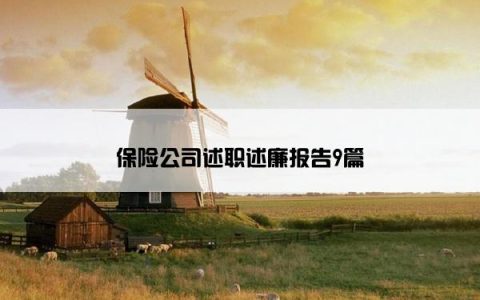保险公司述职述廉报告9篇