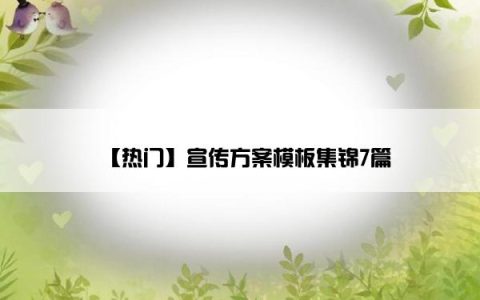 【热门】宣传方案模板集锦7篇