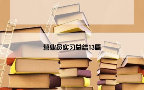 营业员实习总结13篇