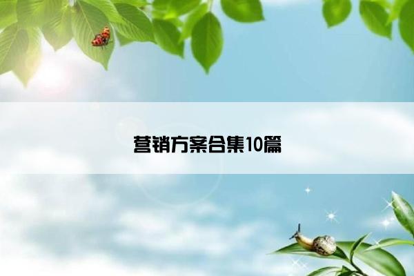 营销方案合集10篇