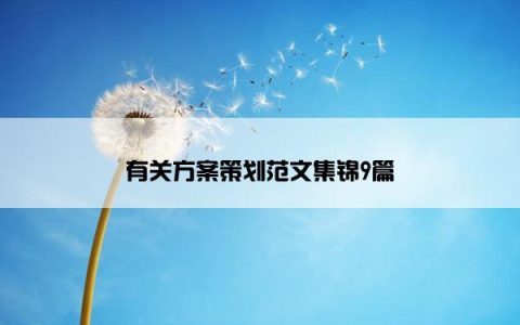 有关方案策划范文集锦9篇