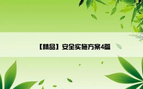 【精品】安全实施方案4篇