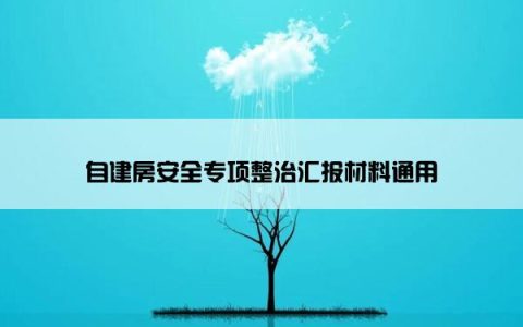自建房安全专项整治汇报材料通用
