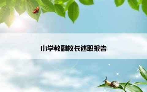 小学教副校长述职报告