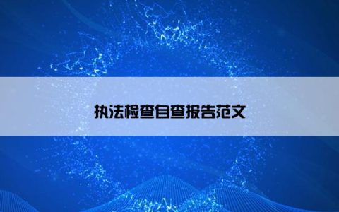 执法检查自查报告范文