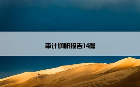 审计调研报告14篇