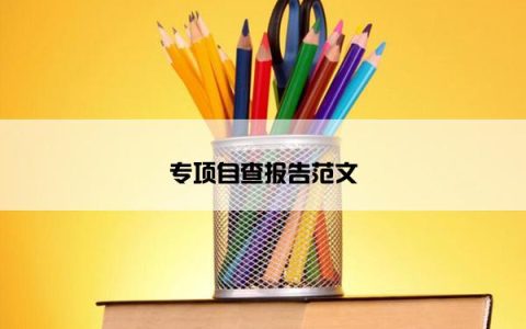 专项自查报告范文