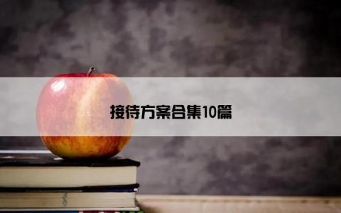 接待方案合集10篇