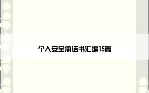 个人安全承诺书汇编15篇