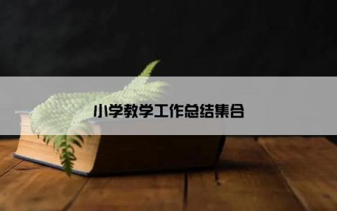 小学教学工作总结集合