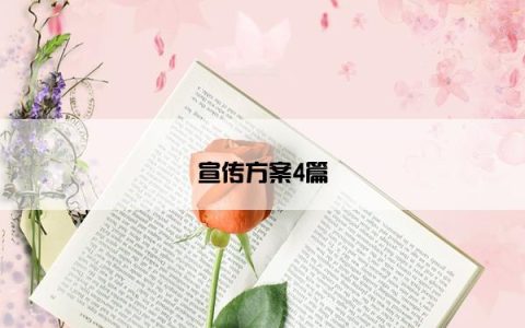 宣传方案4篇